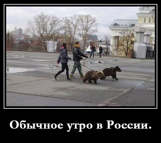 Смешные картинки про Россию (16 фото)