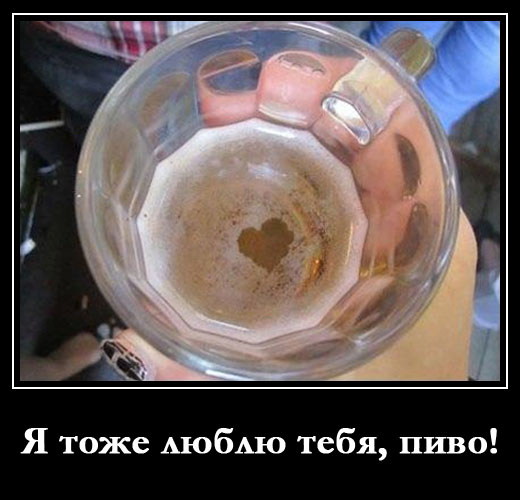 Я тоже люблю тебя, пиво!
