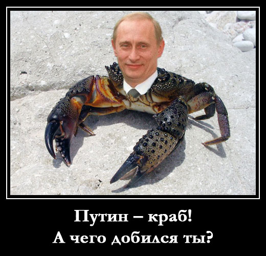 Путин – краб! А чего добился ты?