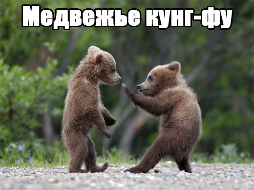 Медвежье кунг-фу.