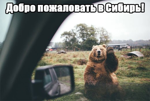 Добро пожаловать в Сибирь!