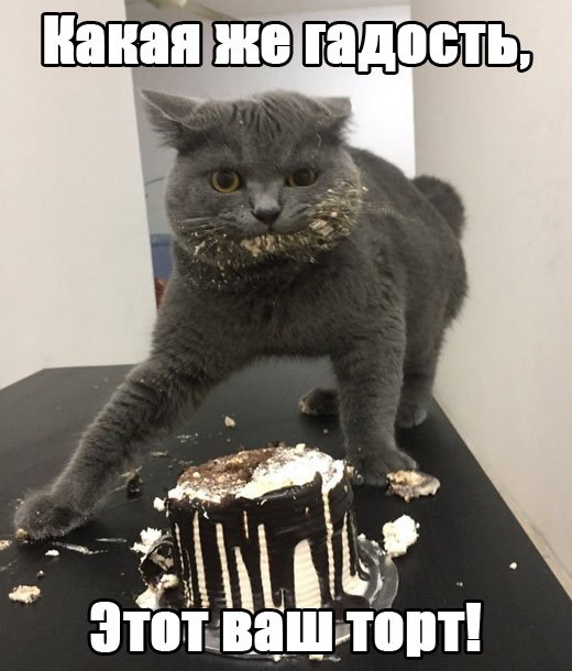 Какая же гадость, этот ваш торт!
