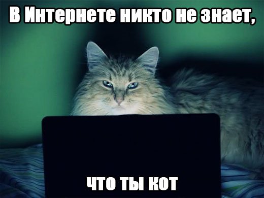 В Интернете никто не знает, что ты кот.
