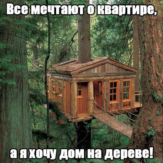Все мечтают о квартире, а я хочу дом на дереве!