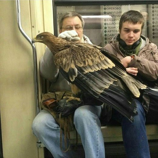 Чего только не увидишь в московском метро.